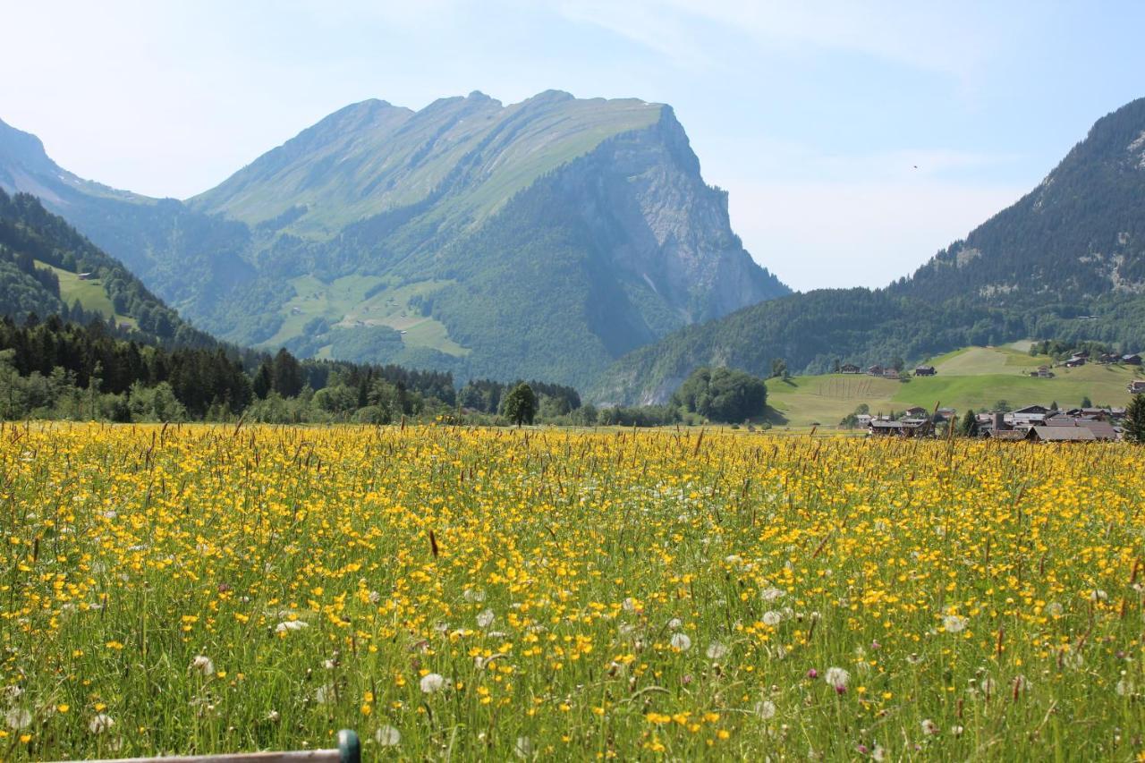 Gaemsle Hotel, Wirtshaus & Mehr Schoppernau Bagian luar foto